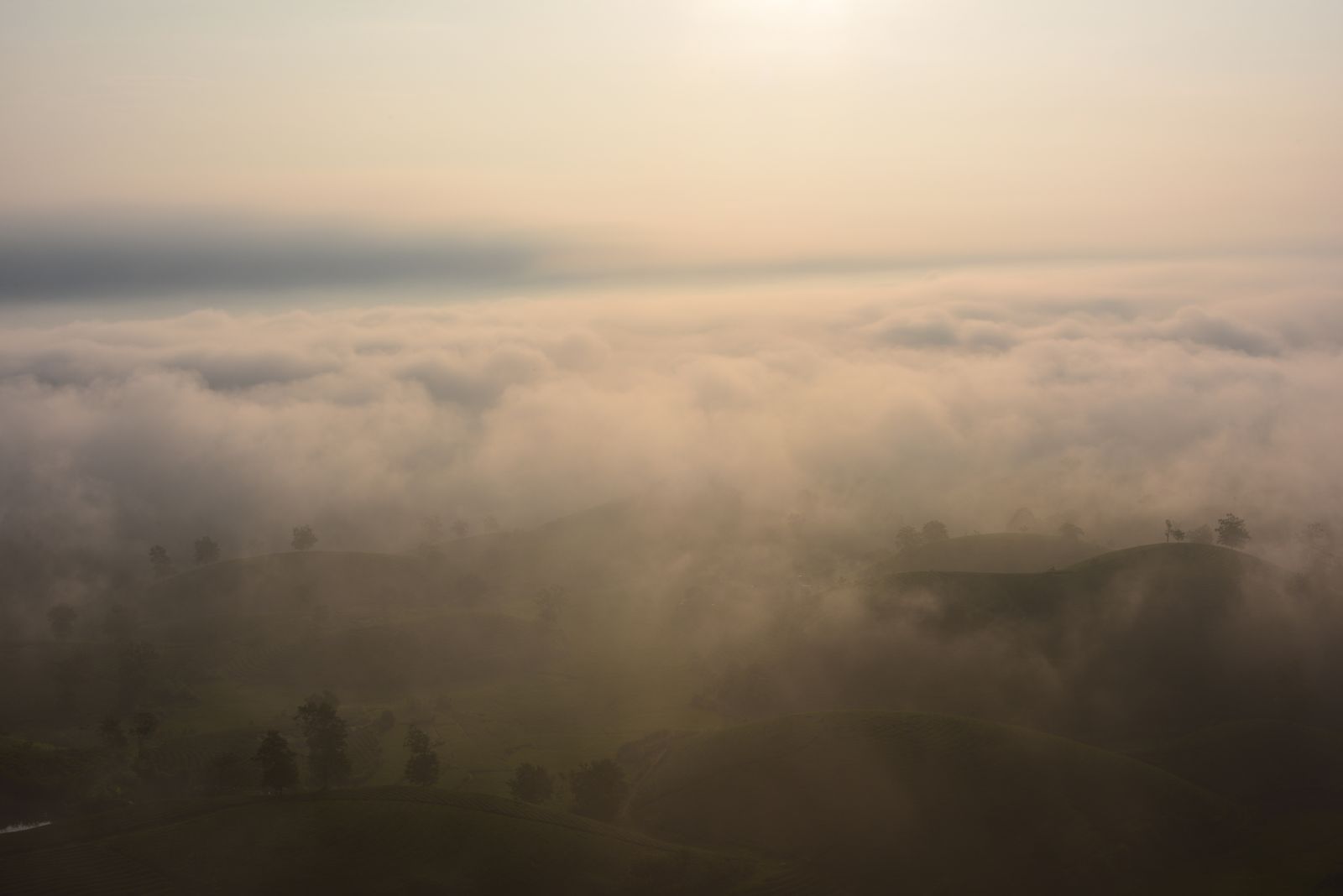Rolling hills at sunrise beneath low mist