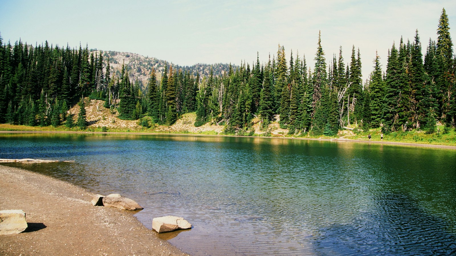 Calm lake surrounded by evergreen forest and mountains