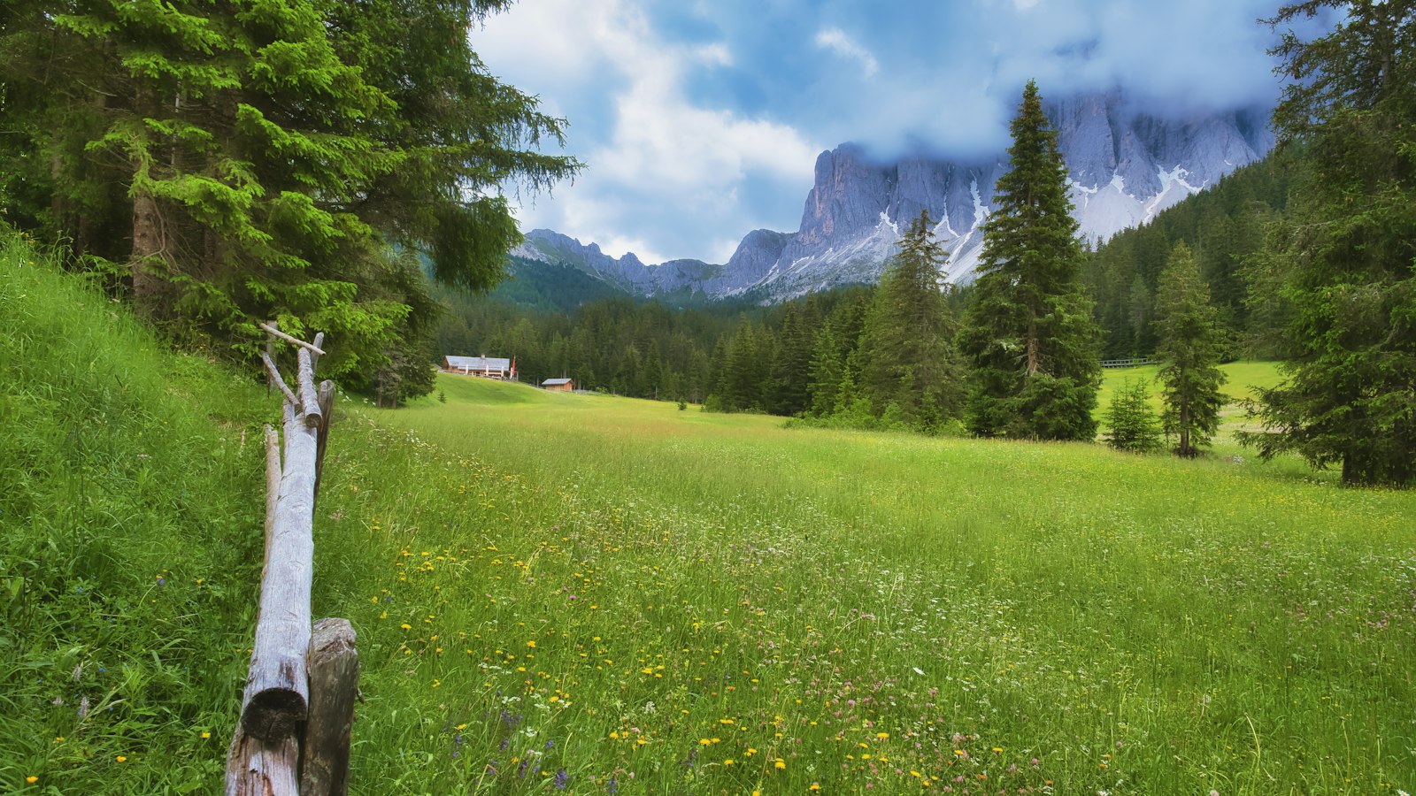 Green meadow with wildflowers and distant mountains