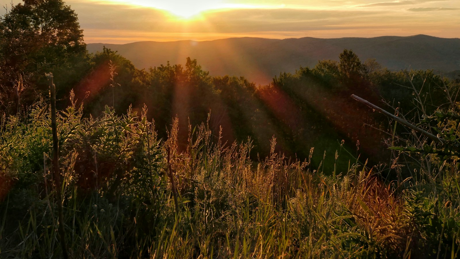 Golden sunrise over rolling hills