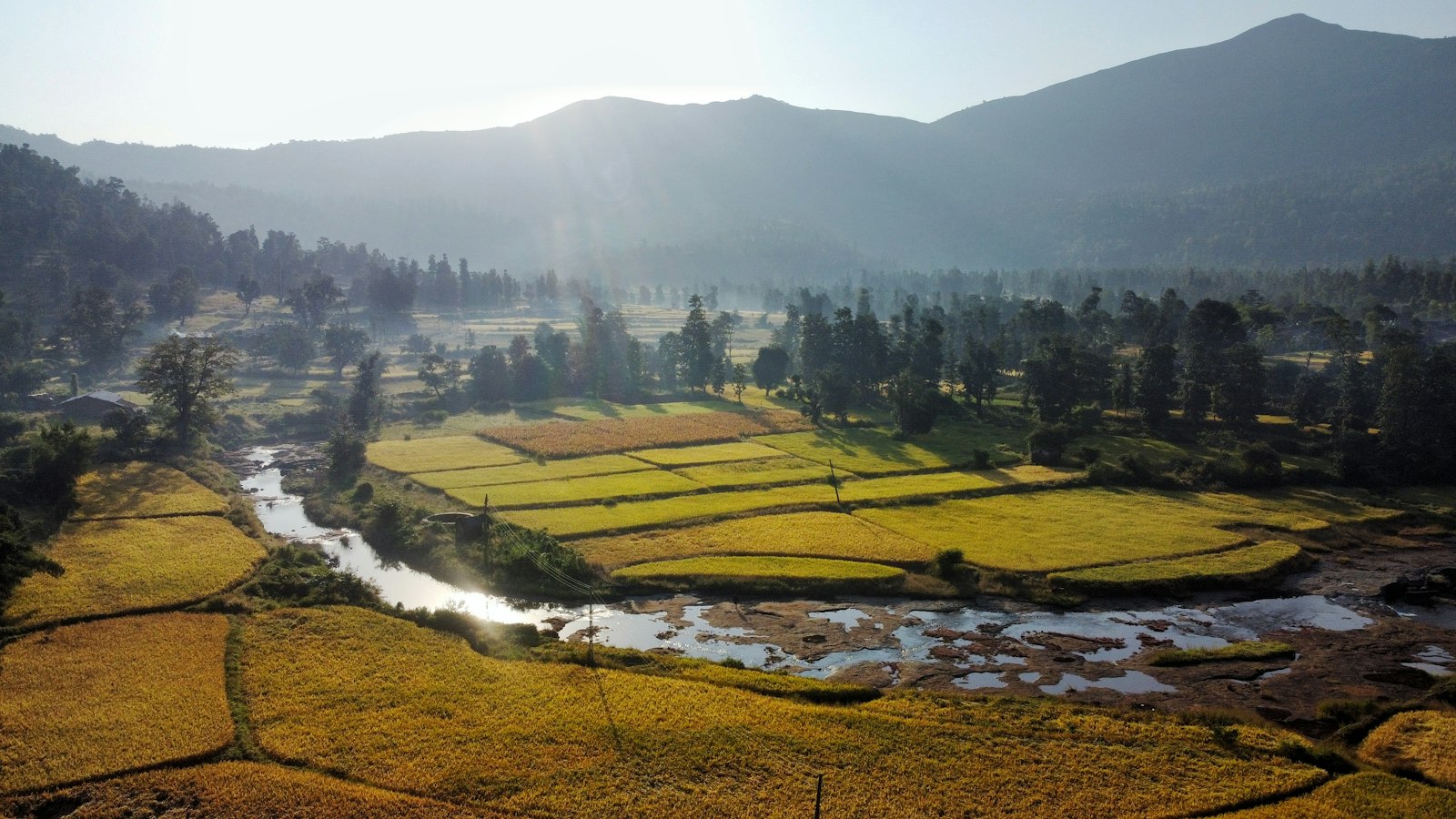 River running through a green valley